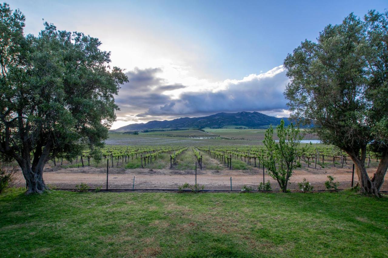 Denneboom Vineyards And Wildlife Apartment Paarl Bagian luar foto